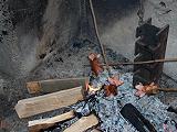 Mit Doppelklick auf das Foto, ffnet sich das grosse Foto